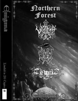 Northern Forest : Enigma